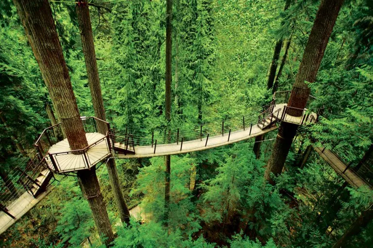 capilano
